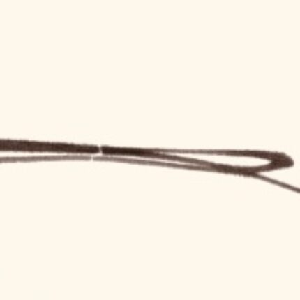 想いを込めて…【 感 謝 祭 】開催！