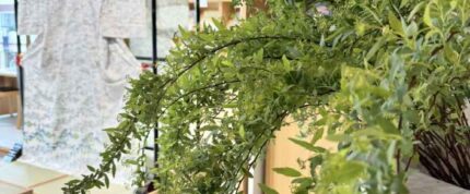 🔥開催です！🔥‐型絵染‐「澤田 麻衣子」展