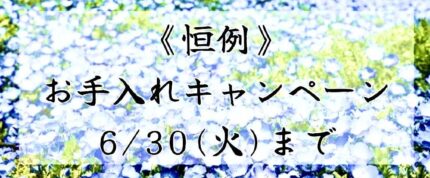 ≪恒例≫お手入れキャンペーン！
