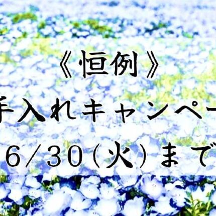 ≪恒例≫お手入れキャンペーン！